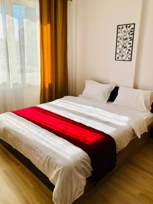 Joy City Stay Victoriei 7G-9 Timisoara Exterior foto