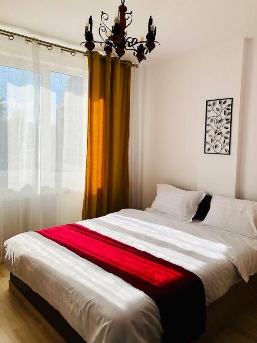 Joy City Stay Victoriei 7G-9 Timisoara Exterior foto