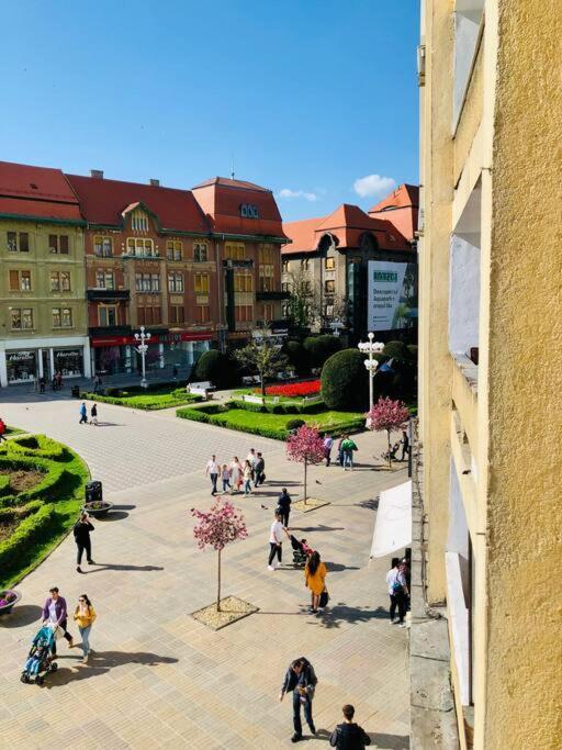Joy City Stay Victoriei 7G-9 Timisoara Exterior foto