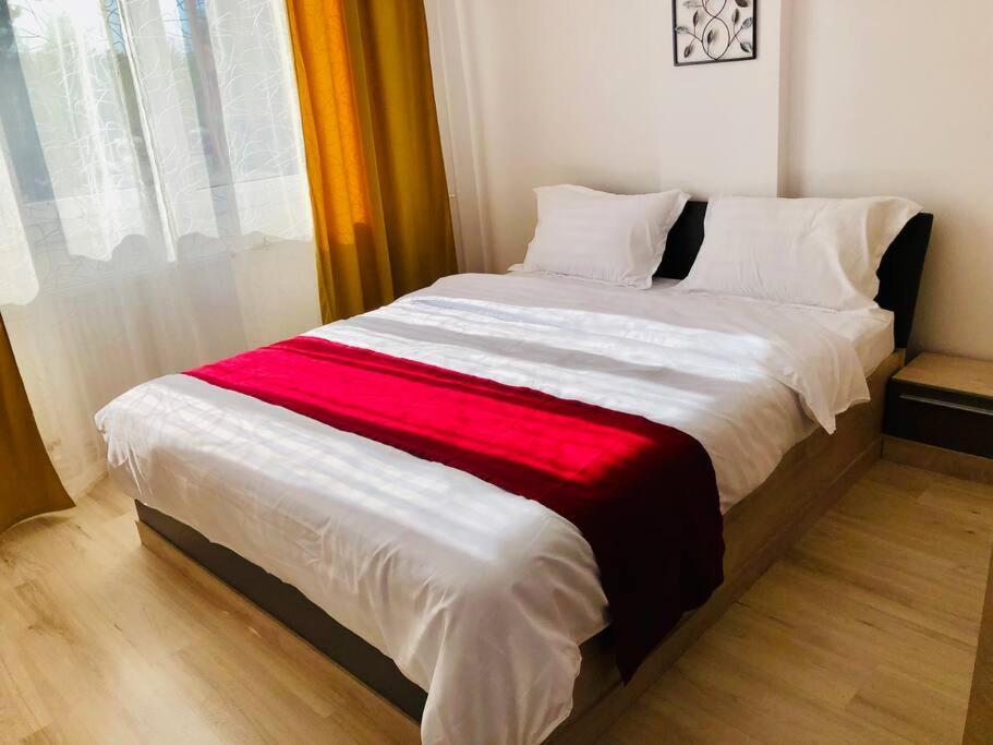 Joy City Stay Victoriei 7G-9 Timisoara Exterior foto