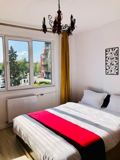 Joy City Stay Victoriei 7G-9 Timisoara Exterior foto